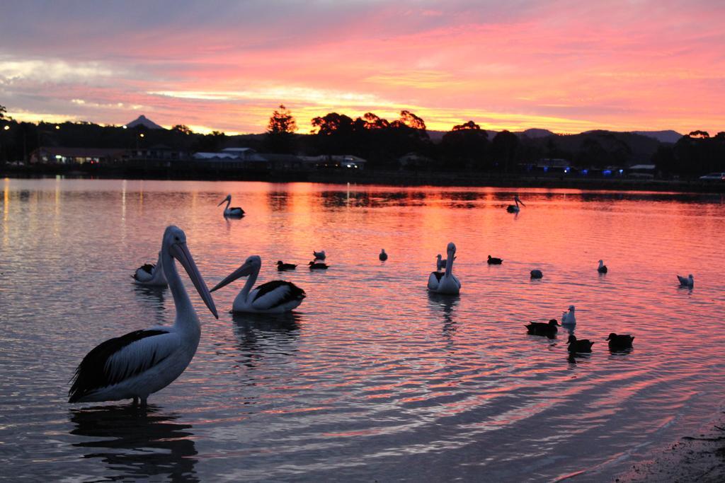 Holiday Haven Burrill Lake Esterno foto